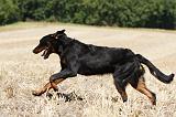 BEAUCERON 757